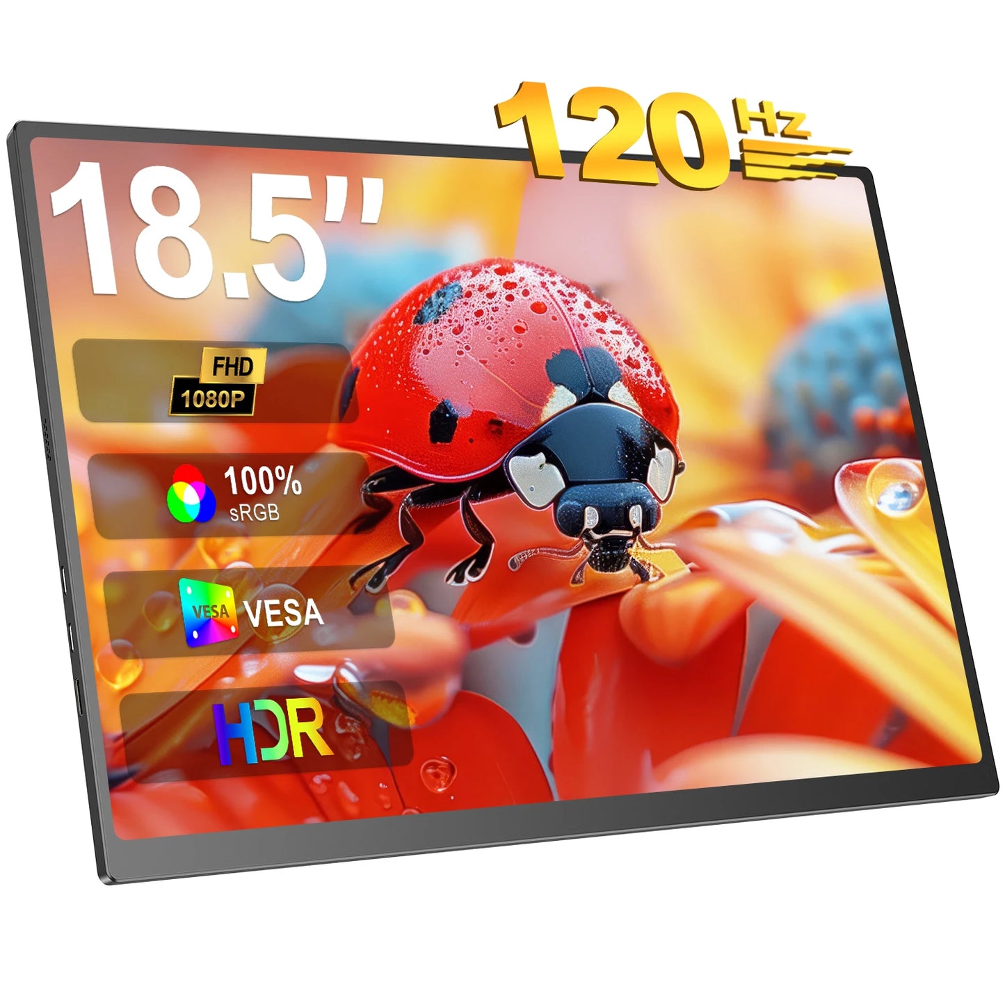VentraForce GO Cdisplay 18.5"